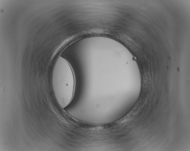 X0000061730112200512021026