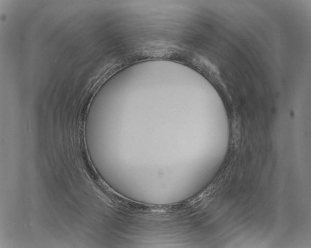 X0000061730114200512021026