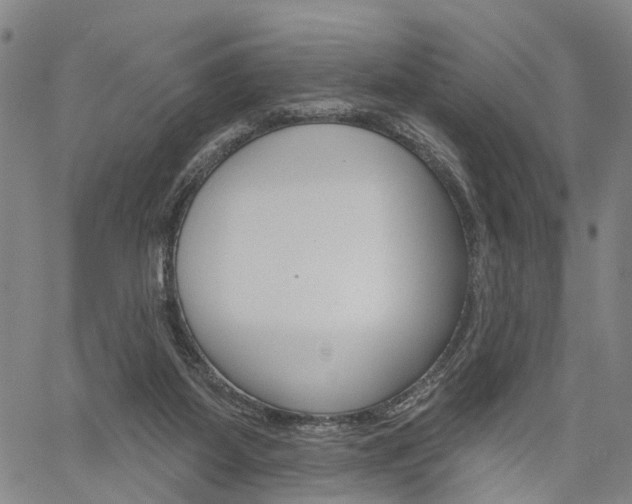 X0000061730115200512021026