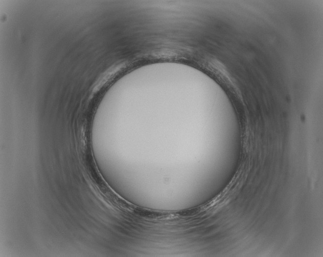 X0000061730116200512021025