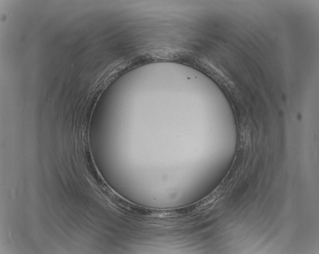 X0000061730117200512021025