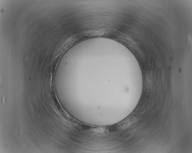 X0000061730118200512021025