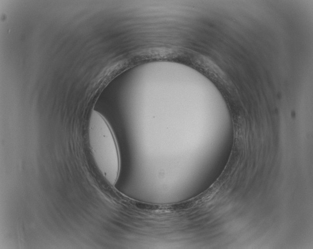 X0000061730119200512021025