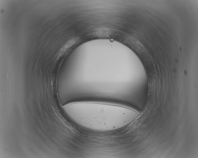 X0000061730120200512021025