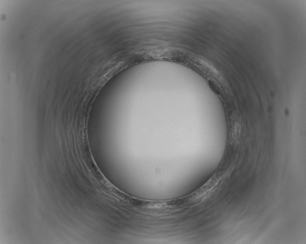 X0000061730121200512021025