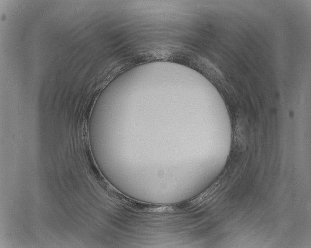 X0000061730122200512021025