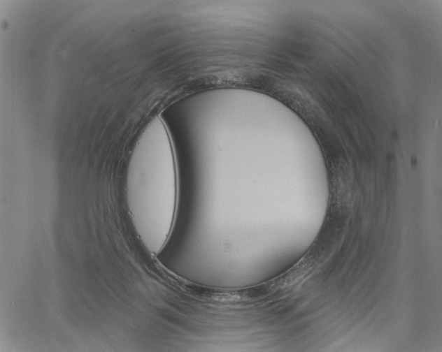 X0000061730123200512021025