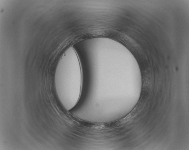 X0000061730124200512021025