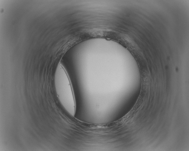 X0000061730125200512021025