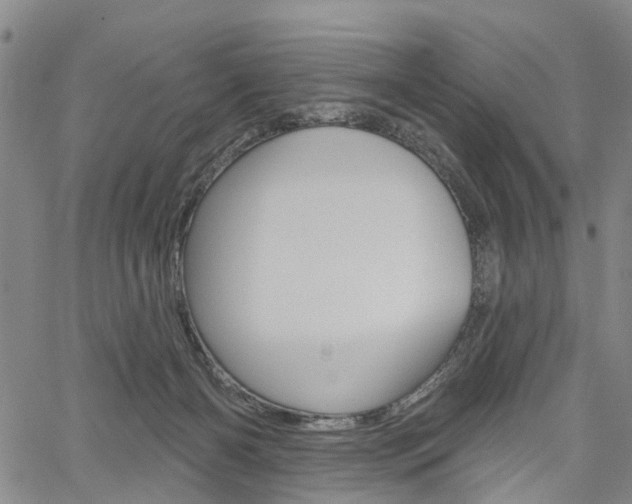 X0000061730126200512021025