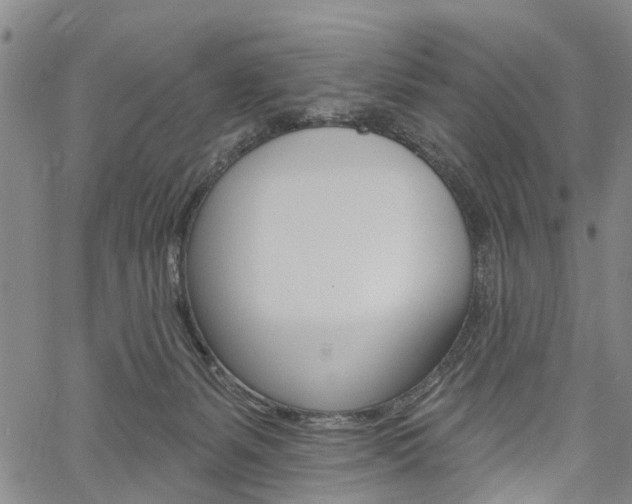 X0000061730127200512021025