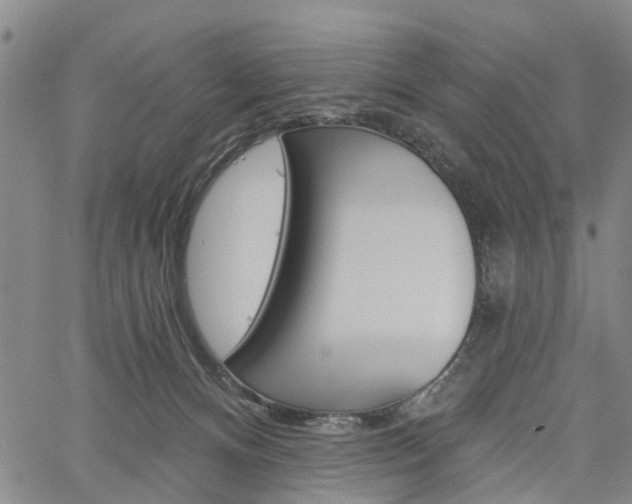 X0000061730128200512021025