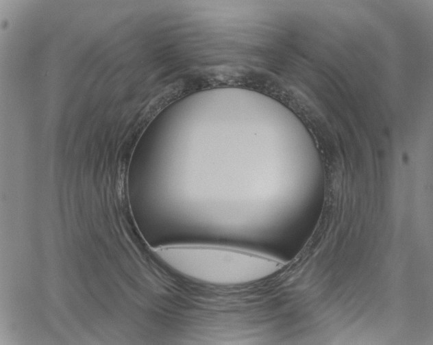 X0000061730129200512021025