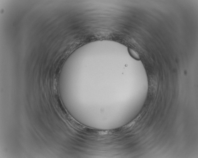 X0000061730130200512021025