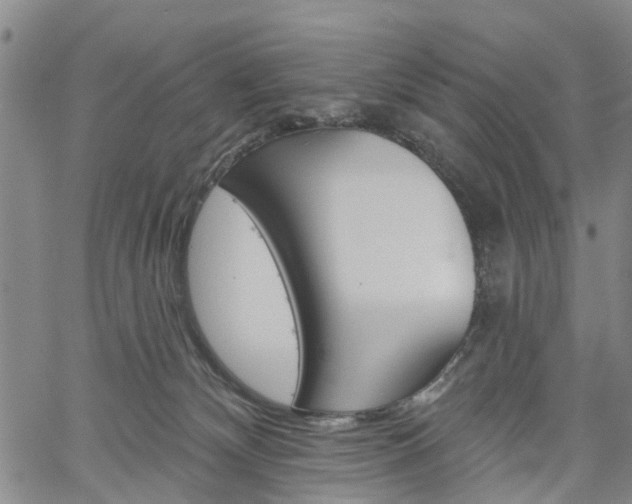 X0000061730132200512021025