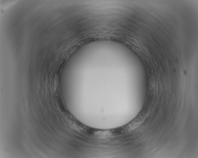 X0000061730133200512021025