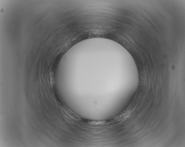 X0000061730135200512021025