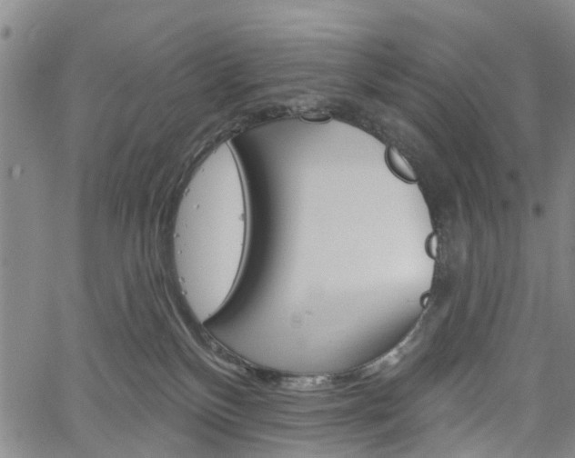 X0000061730136200512021025