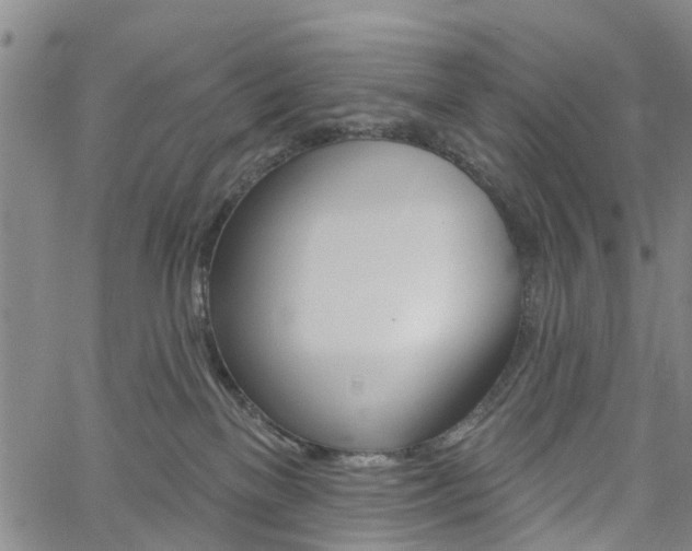 X0000061730137200512021025