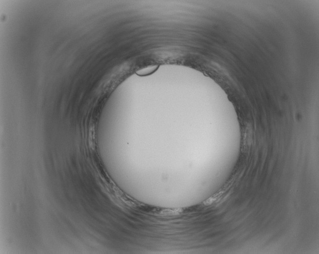 X0000061730138200512021025