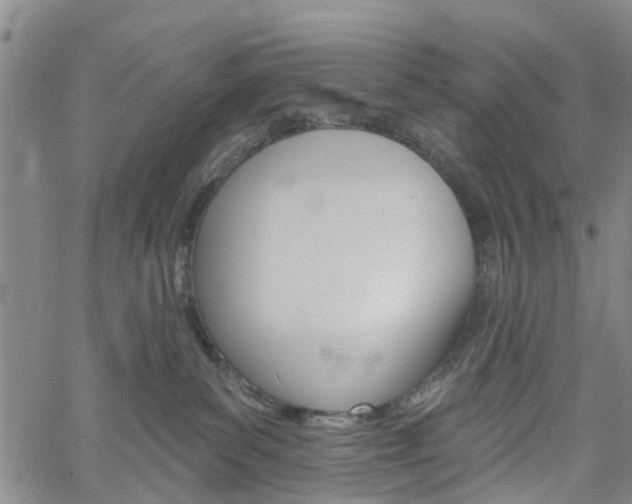 X0000061730139200512021025