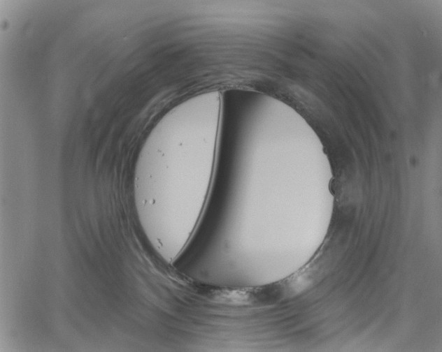 X0000061730140200512021025