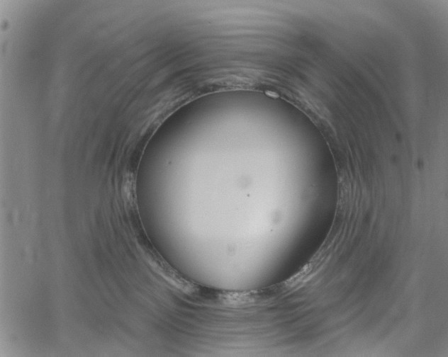 X0000061730141200512021025