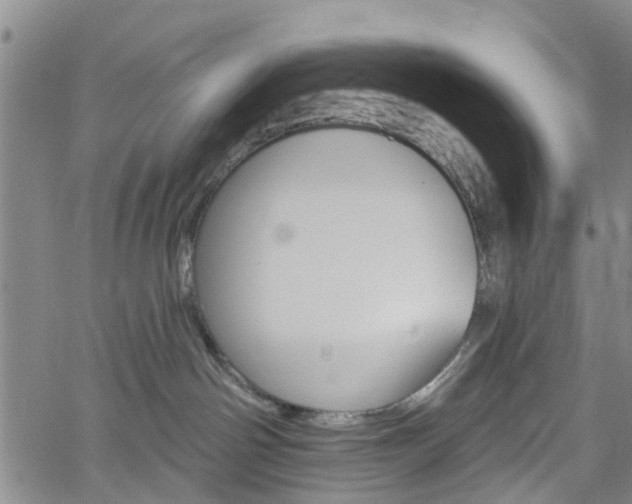 X0000061730142200512021025