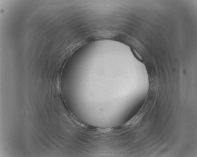 X0000061730143200512021025