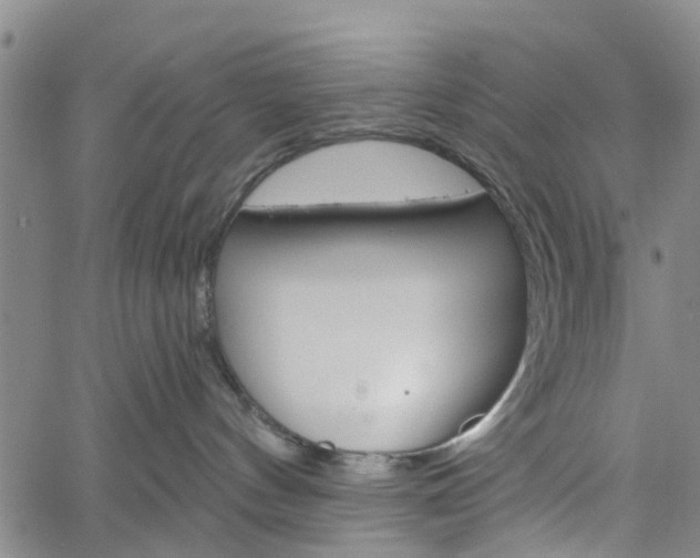 X0000061730144200512021025