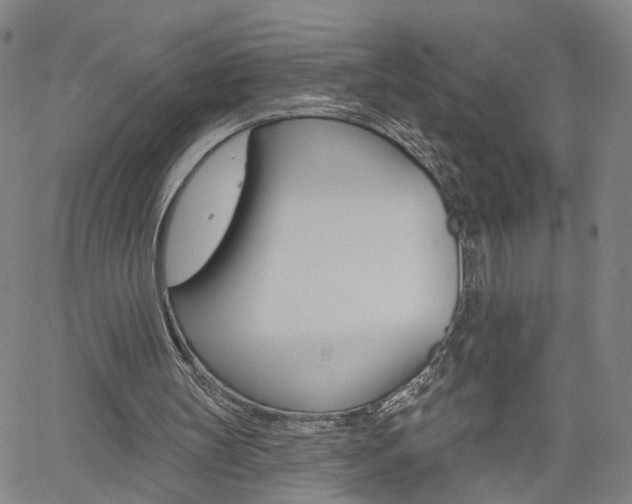 X0000061730147200512021024