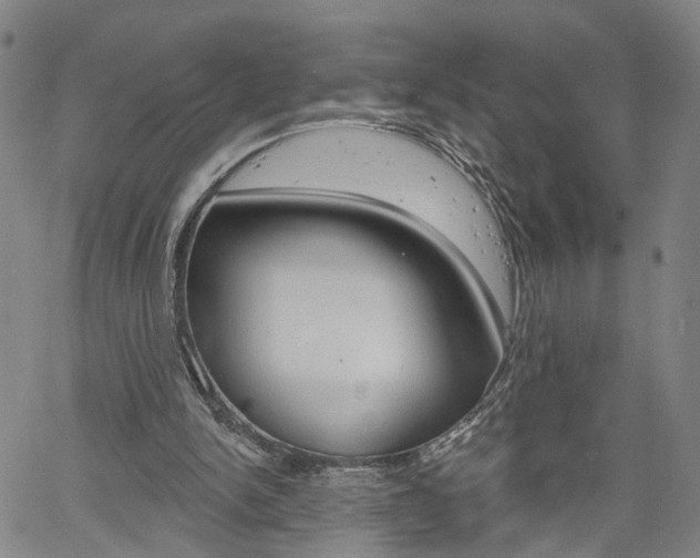 X0000061730150200512021024