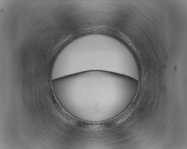 X0000061730161200512021025