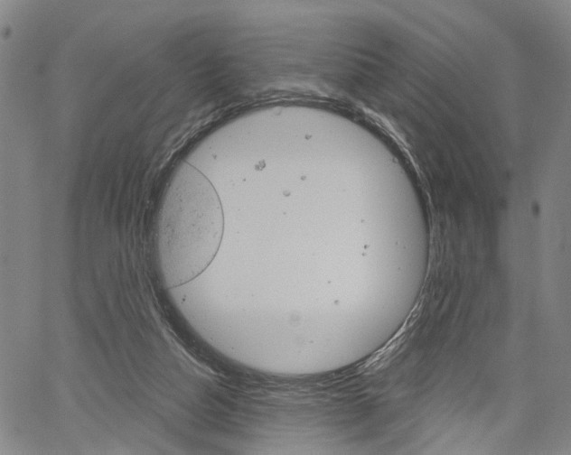 X0000061730162200512021025