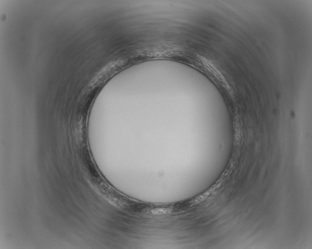 X0000061730163200512021025