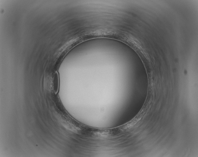 X0000061730164200512021025