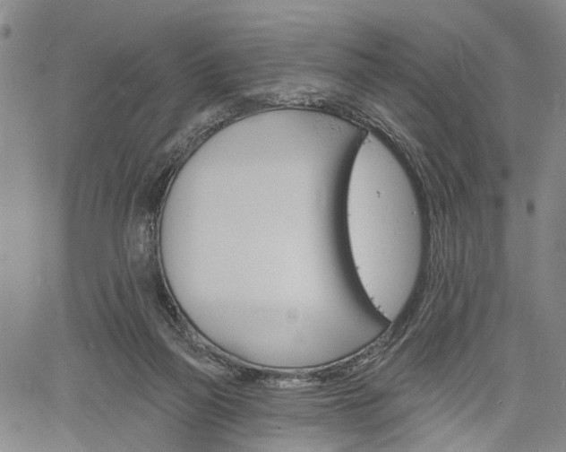 X0000061730165200512021025