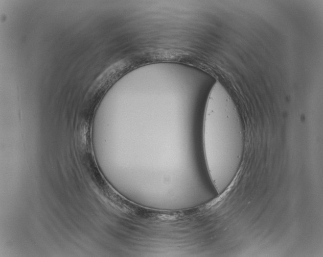 X0000061730166200512021025