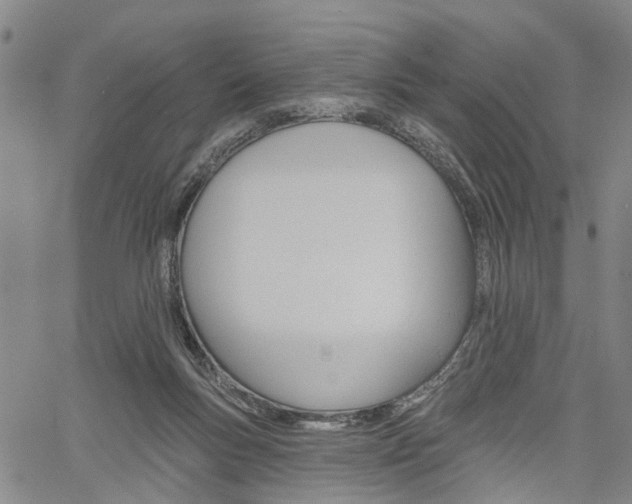 X0000061730167200512021025