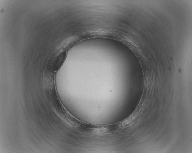 X0000061730168200512021025