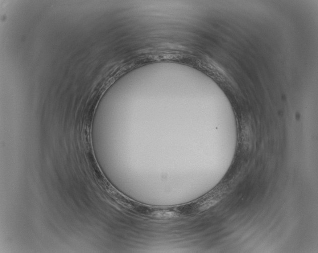 X0000061730169200512021025