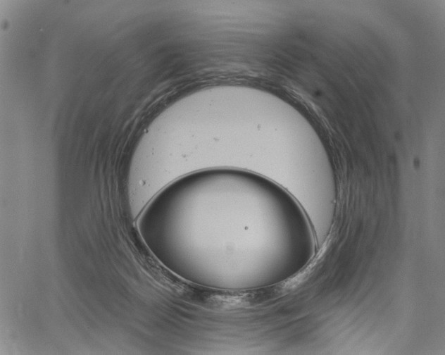 X0000061730170200512021025