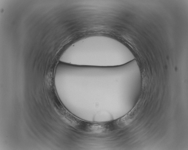 X0000061730171200512021025