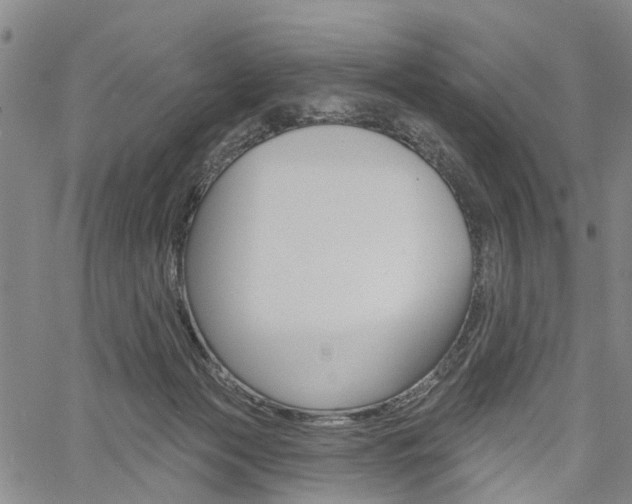 X0000061730173200512021025