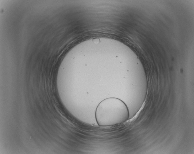 X0000061730174200512021025