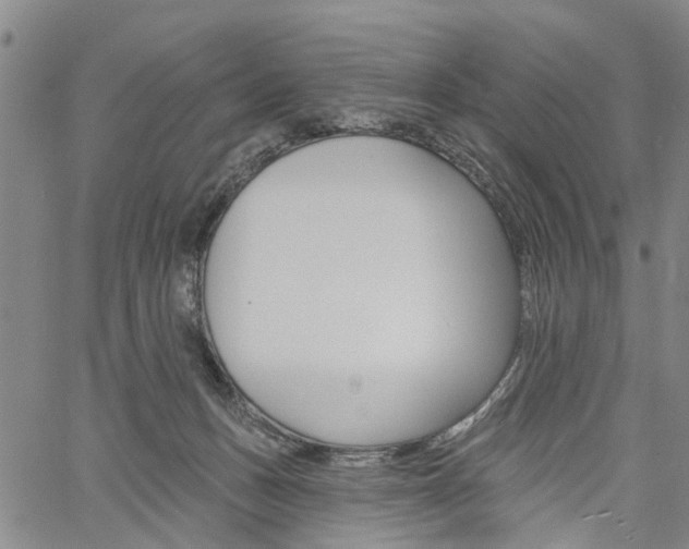 X0000061730175200512021025