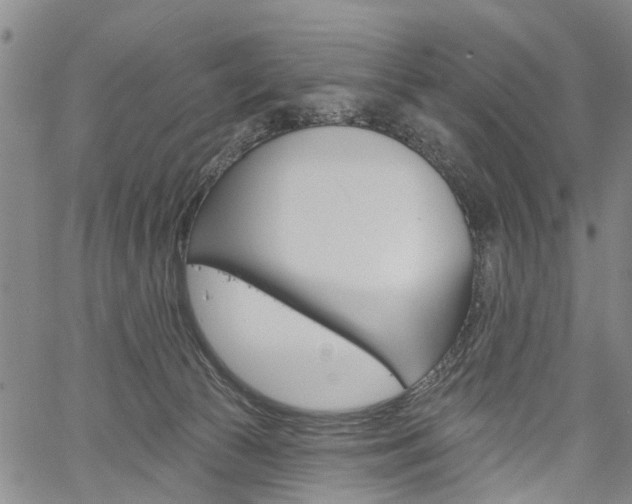 X0000061730177200512021025