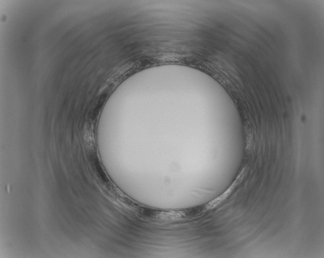 X0000061730179200512021025