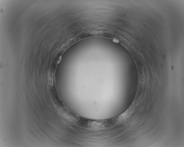 X0000061730180200512021025