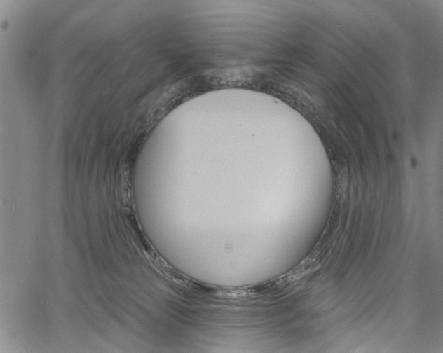 X0000061730181200512021025